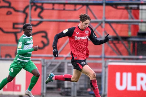 Andrea Natali, Leverkusen