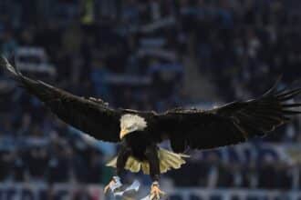 Lazio-Cremonese Stadio Olimpico 20/12/25