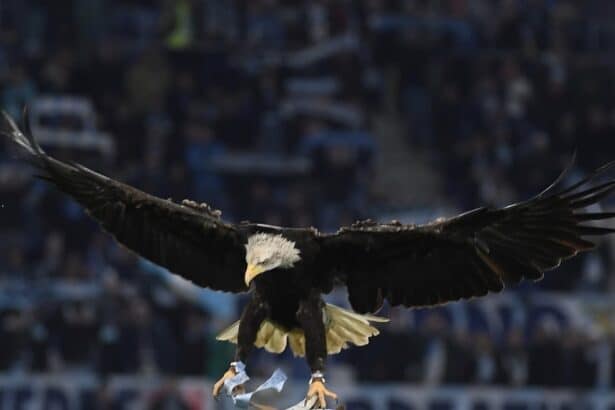 Lazio-Cremonese Stadio Olimpico 20/12/25