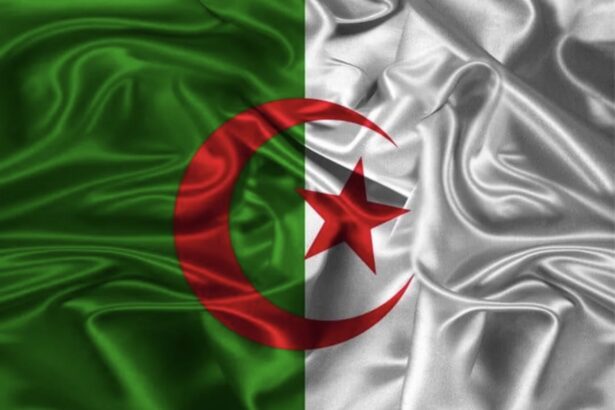 Algeria flag