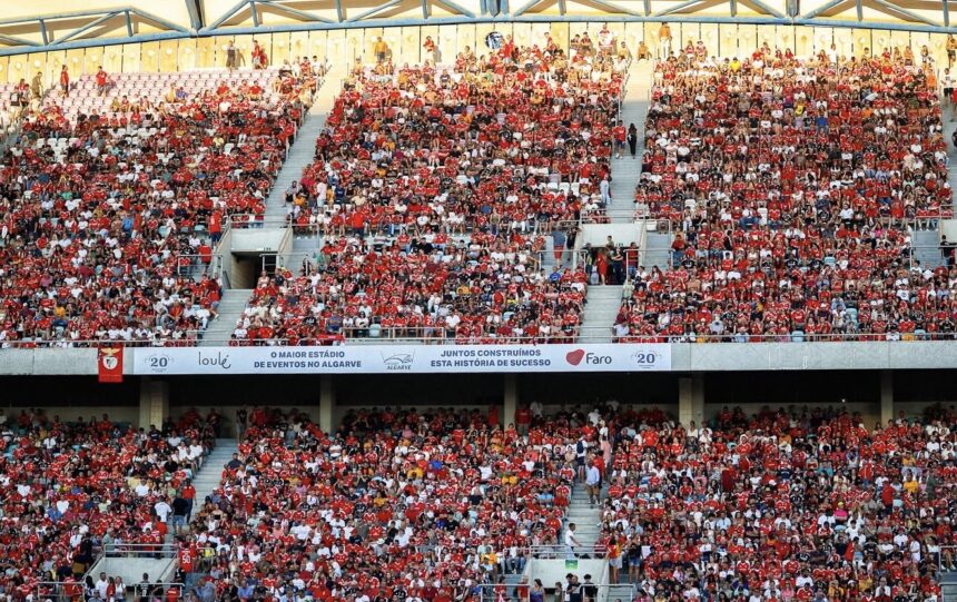 Stadio calcio Benfica
