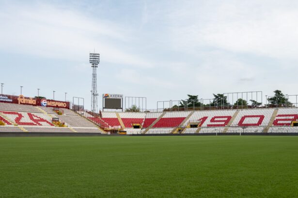 Stadio Romeo Menti